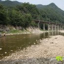 삼탄잔디구장 | [무료캠핑장] 공기좋은 충주 천등산 옆 계곡캠핑장 <6.9>