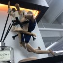 대가 유도관 이미지