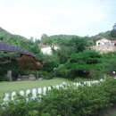 숲속정원 이미지