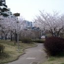 부평공원 이미지