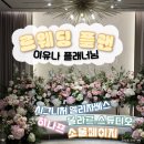 르웨딩 플랜 이유나 플래너 추천 스드메 계약(시그니처 엘리자베스, 볼라르, 히나프,소울페이지 견적)