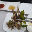 뜰채낙지전문점 이미지