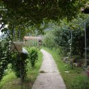 산고운펜션 이미지