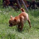 한주동물병원 이미지