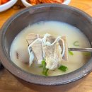 신촌설렁탕 | 대전 만년동 맛집 24시 운영하는 신촌설렁탕 내돈내산 후기