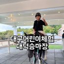대덕승마장 | 대구어린이체험 추천 비가 와도 OK 대덕승마장