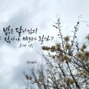 선지그리다 이미지