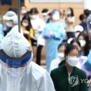 강남-299 이미지