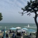 하단동1044 | 부산여행, 부산여행일정, 부산핫플레이스, 부산여행, 부산가볼만한곳, 부산전문가의 추천 여행지, 든든...