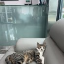 호국로~금오로 | 직장 병행, 3일 만에 필기부터 도로주행까지 연차 하루 쓰고 면허 따기 그린운전면허학원, 직장인...