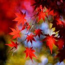 원주중앙요양원 이미지