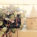 리메이크케이크 이미지