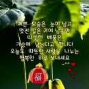 행복한하루 이미지