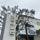 서울 서촌 전시회 추천 석난희 그림 속의 자연 성곡미술관 전시 정보 및 주차 후기