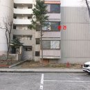 노원로(북측) 이미지