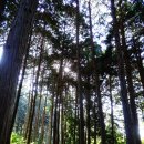 미륵산둘레길 이미지