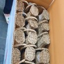 담양동초교 유치원 이미지