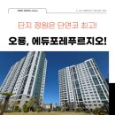 영흥숲푸르지오(단지내)공인중개사사무소 | <오룡푸르지오> 오룡1지구 에듀포레 푸르지오 2단지 매물정보