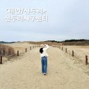 사구해수욕장2 | 태안 신두리 해안사구 겨울 풍경 국내 최대 사막 같은 태안 명소