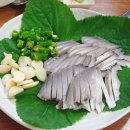 이집가자