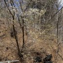 팔미농장 이미지