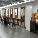 윙크 창원상남점 | 창원 미용실 남자파마 아이롱 리젠트펌후기