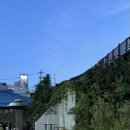 카페CCD송정점 이미지