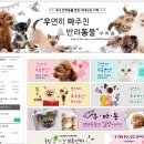 바우홀릭 강아지고양이분양 잠실점 | 불 마스티프 궁금하세요? 모든정보 깔끔하게 정리했어요.