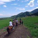 신강목장 이미지