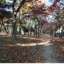 삼각지역 7~8번 출구 이미지