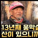 '13년째 움막살이하는 자연인이 산에 온 이유' 나는 자연인이다 446회 하이라이트 이미지