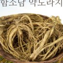 이병용 농장 이미지