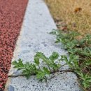 고금체육관 이미지