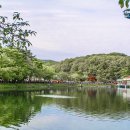 율동공원 Daum카페