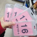 왜목해맞이 좌대낚시터 이미지