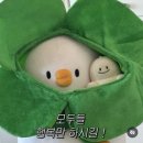 이모왕족발 이미지