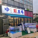 도래울회포차