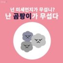 엔랩(N. LAB) 이미지