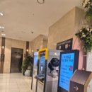 돔펠리체코리아 | 하우스 웨딩이 가능한 그리너리 한 완벽 육각형 베뉴지 더베뉴지 투어 후기 (계약 완료 O, 견적 공유 X)