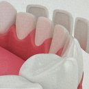 프레스치과의원 이미지