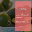 엘케이(LK)푸드 네이버블로그