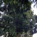 와룡지구 이미지