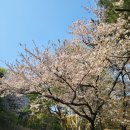 그랜드커피숍 - 공주시 유구마곡사로 26 | 그랜드커피숍