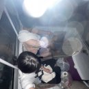 바라보다민박 | 재택 쓰고 혼자 떠난 다합 여행기