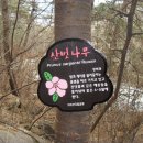 해인사터미널주차장화장실 이미지