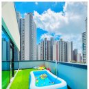 맘바이 루프탑 테라스 강아지 애견호텔 애견유치원 이미지