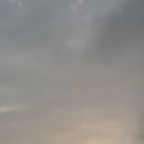 브랜든시티의원 이미지