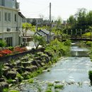 스테이다정 이미지