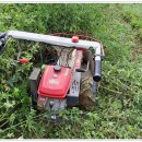 고사리민박 이미지