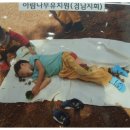 보고유치원 이미지